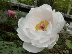 042110 �ܤ���4