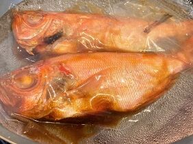 022021 ���ݎ�2