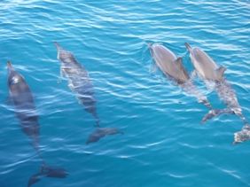 010712 ���َ�3