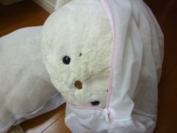 123011 ����1