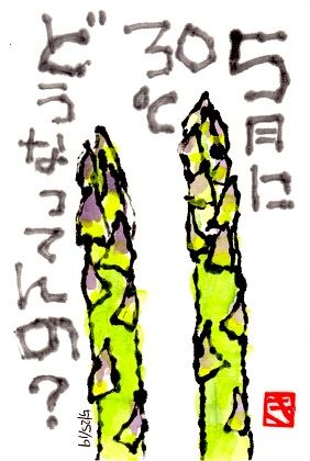 052519 アスパラ