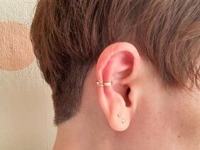 111021 ear2