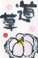 0212 ������²ۻ�ƻ��