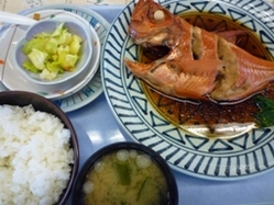 040410 �Ф���꿩