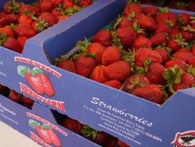 0601 �̎��؎��ˎގ�3