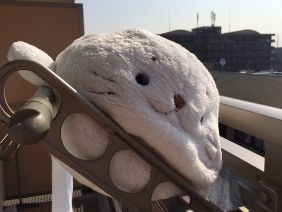 042815 ��������