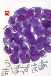 080709 絵手紙ラズベリー