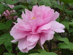 042110 �ܤ���2