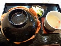 060409 ��Ȫ��Ч1