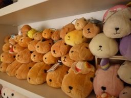 120612 ���ˎ�2