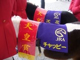 110208 ŷ�ľ�