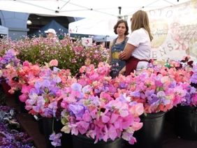 0601 �̎��؎��ˎގ�2