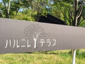 052216 ハレルニ1