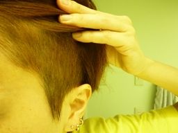 050214 cut1