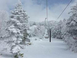 012210 �ֲ첣�껳