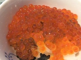 041519 イクラ