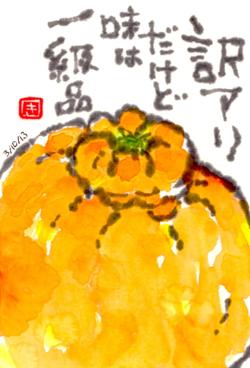 031013 �Îގ��Ύߎ�