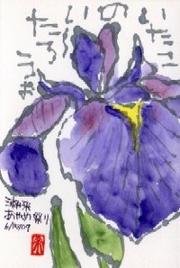 061709 絵手紙あやめ