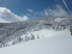 012310 ���ֲ�