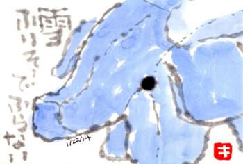 012214 ゾウ