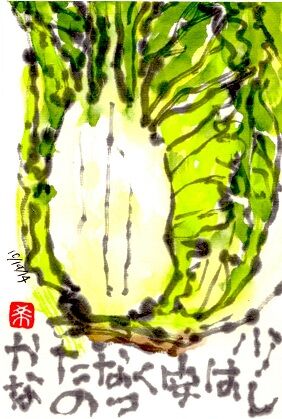 14 白菜