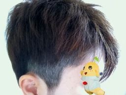 080113 cut