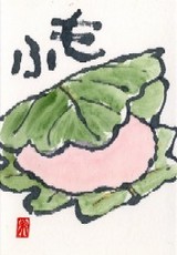 040508 ���������