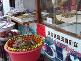 070508 朱家角店