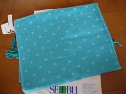 061413 ���Ď���