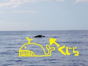 010712 �����ގ�