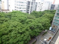 062009 ��������