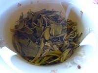 062609 ������ɽ���