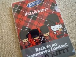 071312 ���Î��̎�����