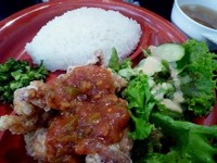 090609 ���Ȥ��꿩