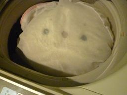 123011 ����2