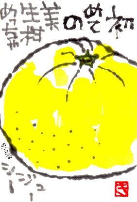 051218 美生柑初