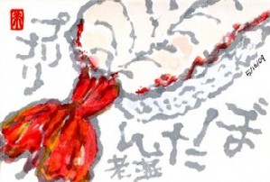 051709 絵手紙ぼたん海老