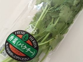 101015 �׎���1