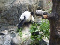 062709 �ʎߎݎ���3