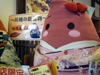 102209 �����