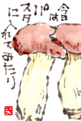052415 エリンギ
