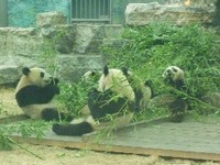 062709 �ʎߎݎ���4