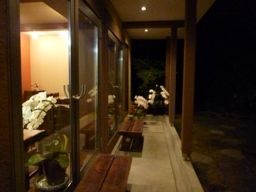 111811 ���ʎ�2