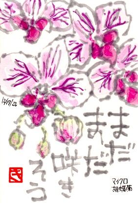 121720 蘭