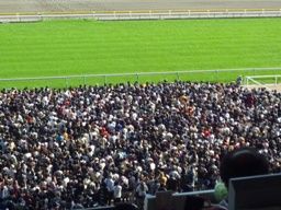 042411 �����2