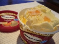 050609 �ʎ����ގݎҎێ�