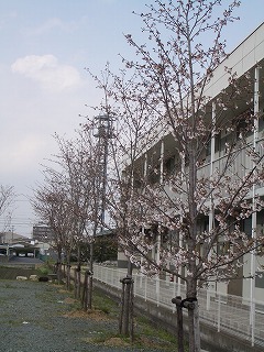 Â裲¹©¾ìºù