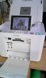fe298160.JPG
