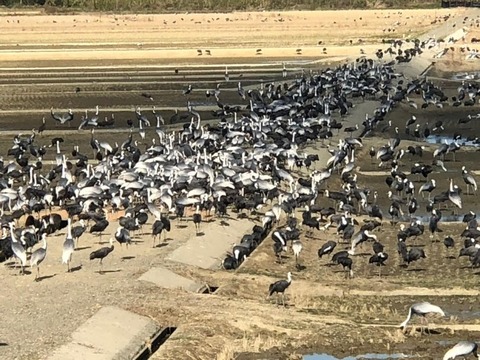 IMG_5833