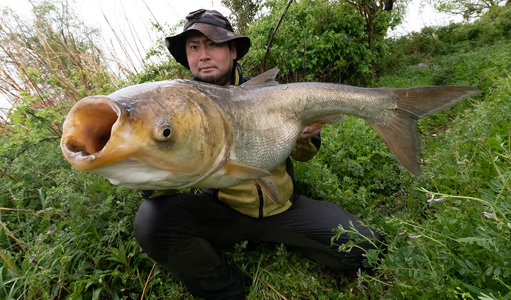 陽キャ 利根川でめっちゃでかい魚釣れたw ﾊﾟｼｬｯ トム速報